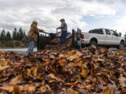 Try recycling your leaves back into your landscape first. Take the rest to a Clark County location like H&amp;H Wood Recyclers, which will accept them with a free coupon you can print out.