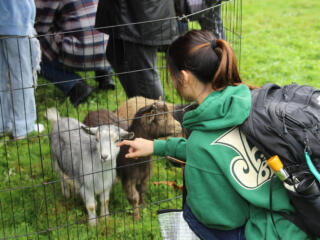 Pet a Goat — Register to Vote’ photo gallery