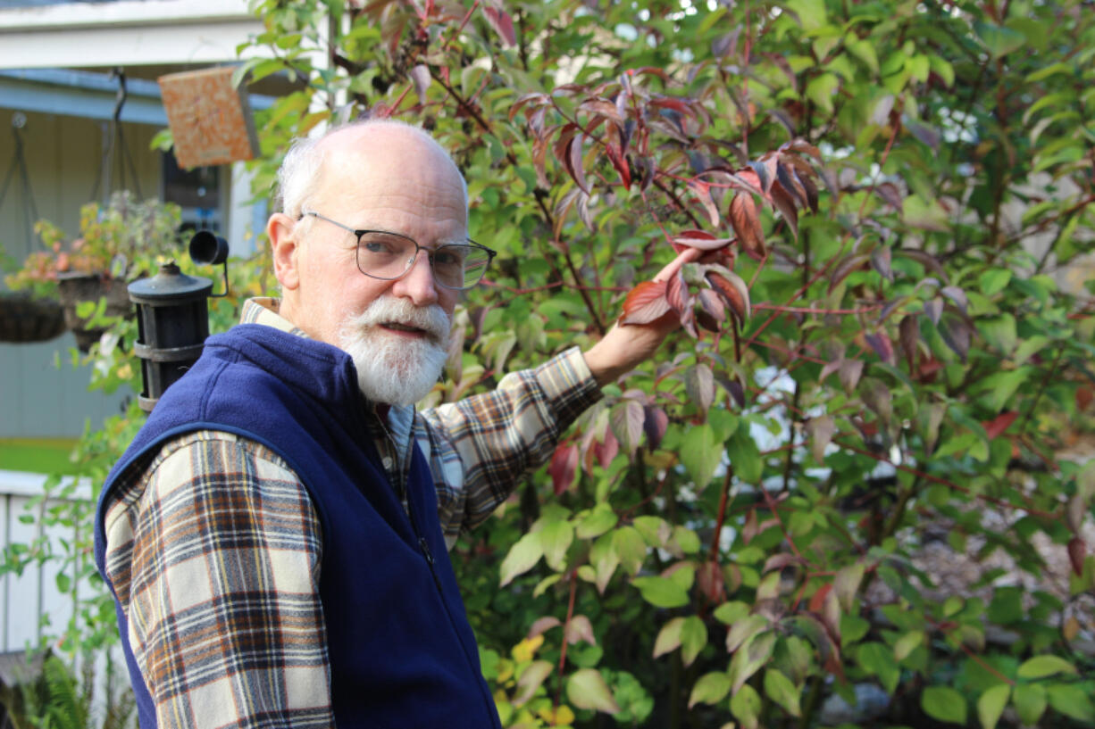 Vancouver resident James Lanz shows off some of the dozens of native plant species he and his wife have planted in their front and back yards at their Cascade Park home in Vancouver.