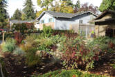 Vancouver husband and wife James Lanz and Kate Ketcham have transformed their front and backyards into prime pollinator habitat by planting native species. The idea seems to be catching on. Several of their Cascade Park neighbors have also begun planting native species in their yards.