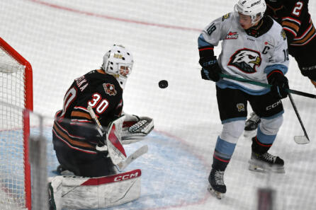 WHL: Calgary Hitmen at Portland Winterhawks photo gallery