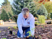 Fort Vancouver Lions Club member Diane joined a recent Flora &amp; Fauna Friday event on Nov. 8 at The Downs Neighborhood Park in central Vancouver.