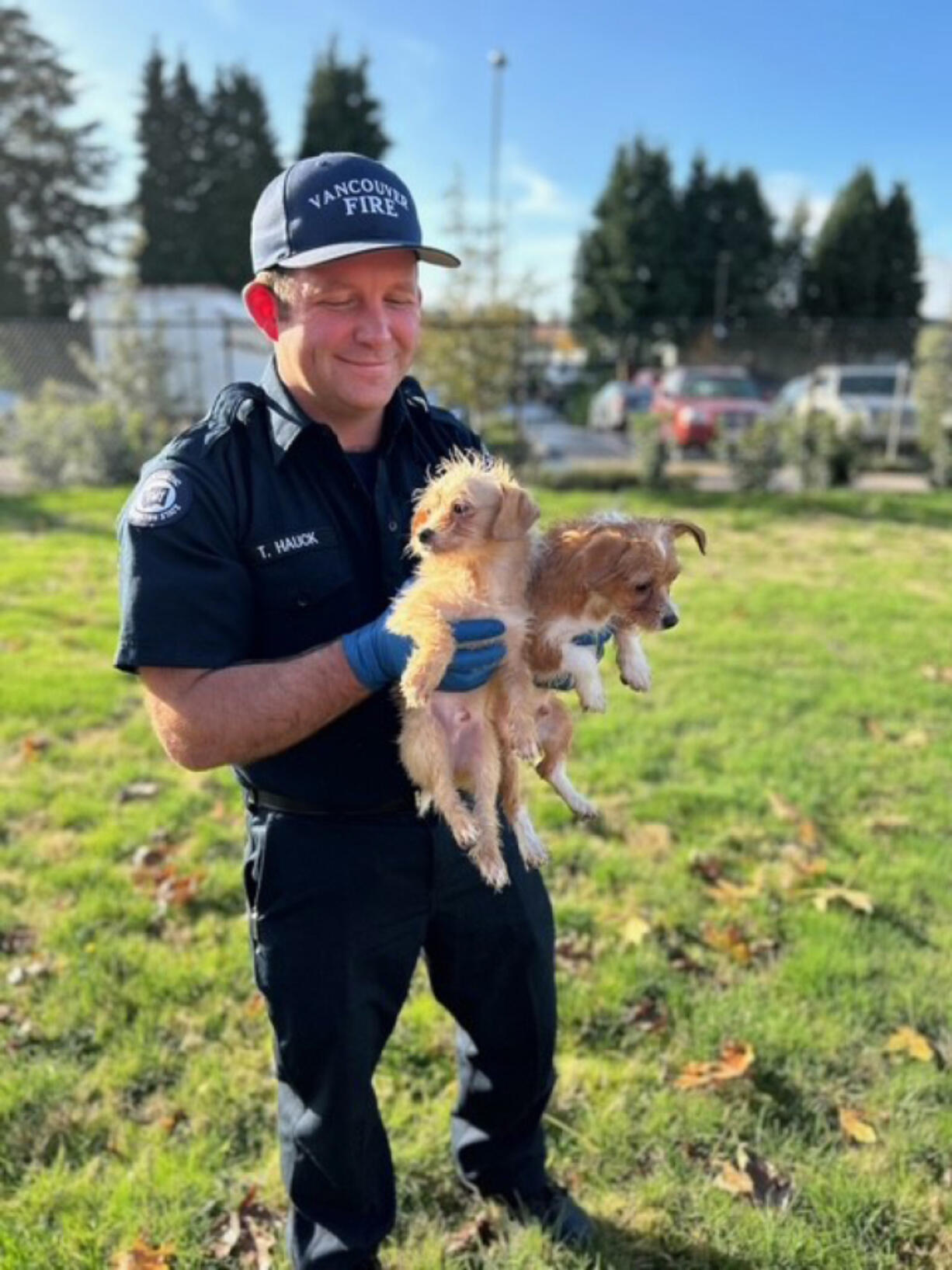 On Nov. 4, two dogs were dropped at Vancouver Fire Department Station 2. The crew affectionately named them Tom and Jerry.