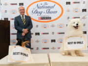 Kanji, front left, a 5-year-old Lancashire heeler; Steve Sansone, back left, member of the Kennel Club of Philadelphia&rsquo;s board of directors; and Prince Louis, a Samoyed, during the smile-off contest at the National Dog Show press preview on Nov. 12, 2024.