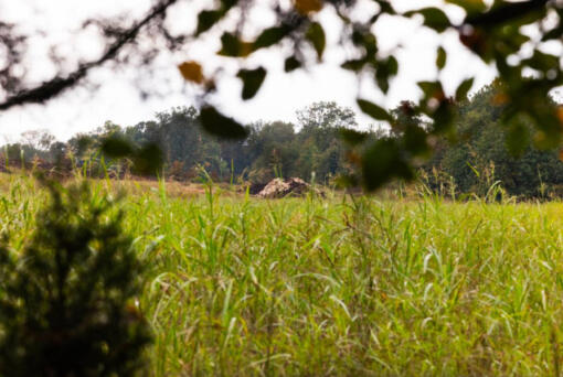 Charles Blackmon shows areas large piles of waste outside of a chicken farm near Mountville, South Carolina in the Little River watershed on Wednesday, Sept. 18, 2024.