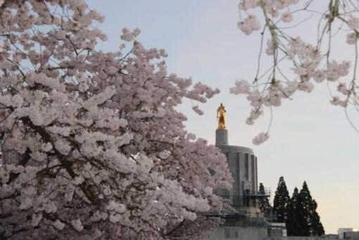 Oregon&rsquo;s new economic forecast predicts more money available to spend in the 2025-27 budget cycle.