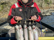 Tom Fritsch with a limit of dandy Black Friday trout taken last December at Rowland Lake while fishing with Buzz Ramsey. Several local lakes will be stocked with &igrave;jumbo&icirc; size rainbow trout ahead of Black Friday.