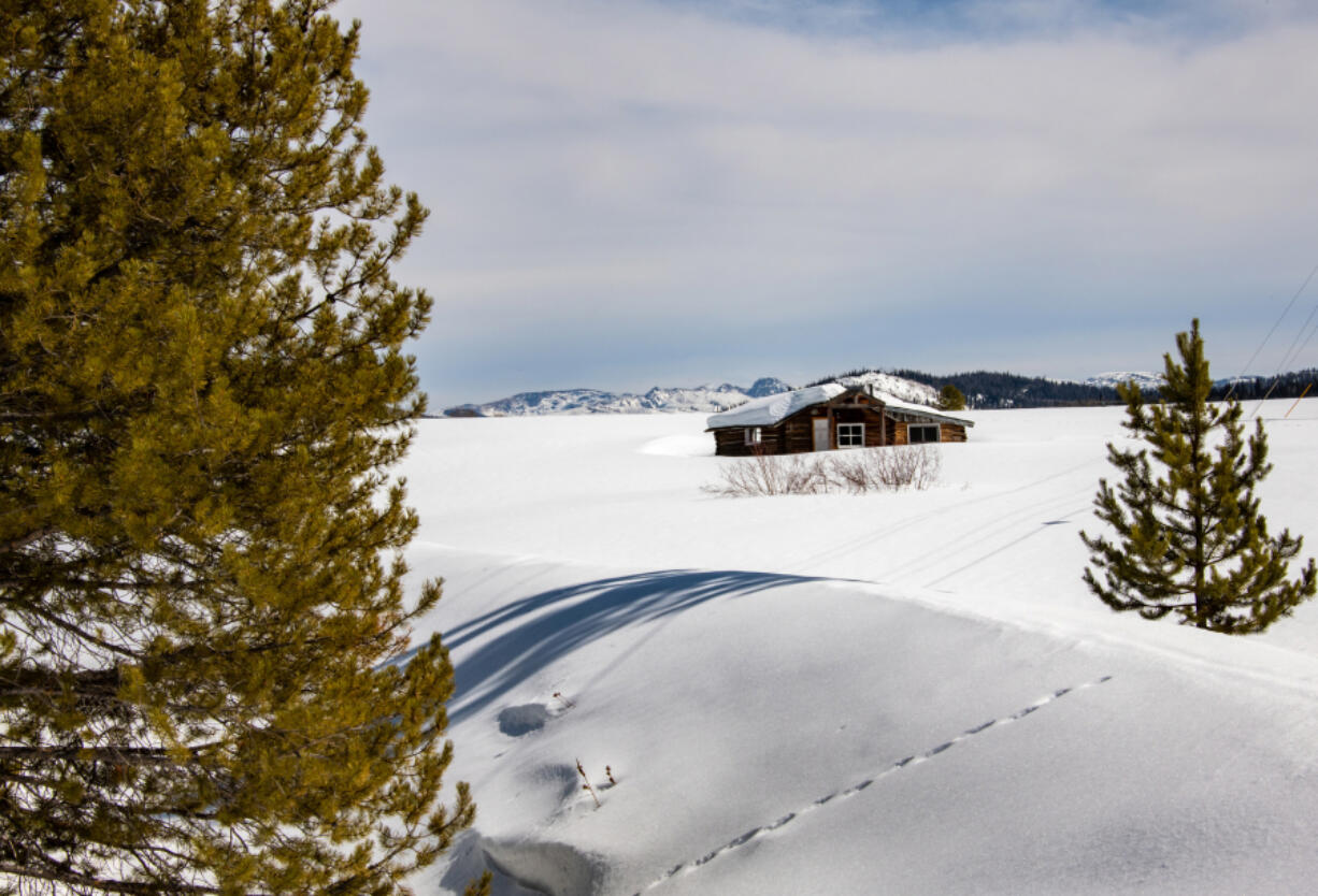 A cabin in a snowdrift in Steamboat Lake State Park.