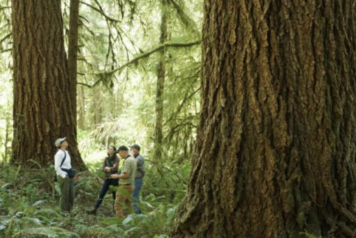 Meg Krawchuk, associate professor in Oregon State University&rsquo;s College of Forestry, and Shannon Murray, program director of the Elliott State Research Forest, survey an old growth stand.