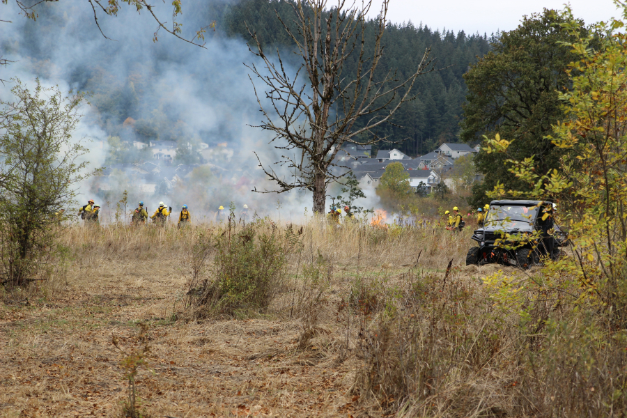 Fire crews conducting a prescribed burn in October at Lacamas Prairie spread out into two lines, a burn line and a hold line, once a test fire is finished. A test fire is necessary to ensure temperature, humidity, wind and other conditions are met before the controlled burn can move forward.