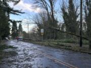 Damage is seen in a neighborhood in Issaquah, Wash., Wednesday, Nov. 20, 2024, after a 'bomb cyclone' brought high winds to the Pacific Northwest overnight.