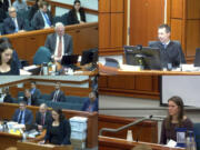 In this image taken from a video provided by Idaho Fourth District Court, Rebecca Vincen-Brown, lower right, tears up as she testifies in court about her abortion, Tuesday, Nov. 12, 2024, in Boise, Idaho.