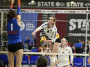 Columbia River's Sydney Dreves attempts a kill during a quarterfinal match against Ridgefield at the Class 2A state volleyball tournament on Friday, Nov. 15, 2024 in Yakima.