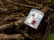 FILE - A container of Narcan, or naloxone, sits on tree roots at a longstanding homeless encampment in Bellingham, Wash., on Thursday, Feb. 8, 2024.