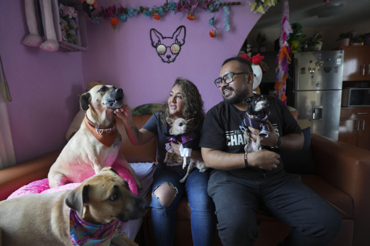 Meztli Lizaola and V&iacute;ctor Sorchaga sit with their pets on Oct. 30 in their home in Mexico City.