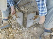 Paleontologist Mat&iacute;as Motta at the fossil site &ldquo;Estancia La Matilde&rdquo; in Patagonia, Argentina shows an adult specimen of the fossil frog Notobatrachus degiustoi.