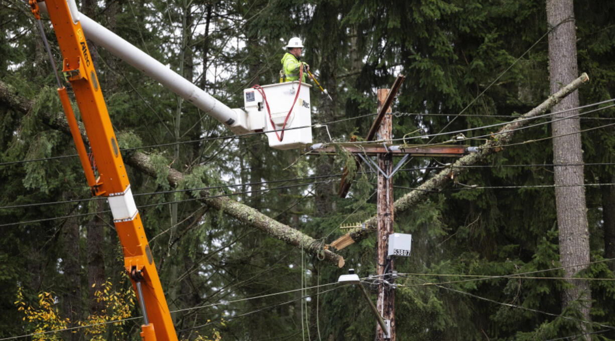 A tree removal worker dislodges the top of a tree from power lines after a recent heavy storm on Sunday, Nov. 24, 2024, in Sammamish, Wash.