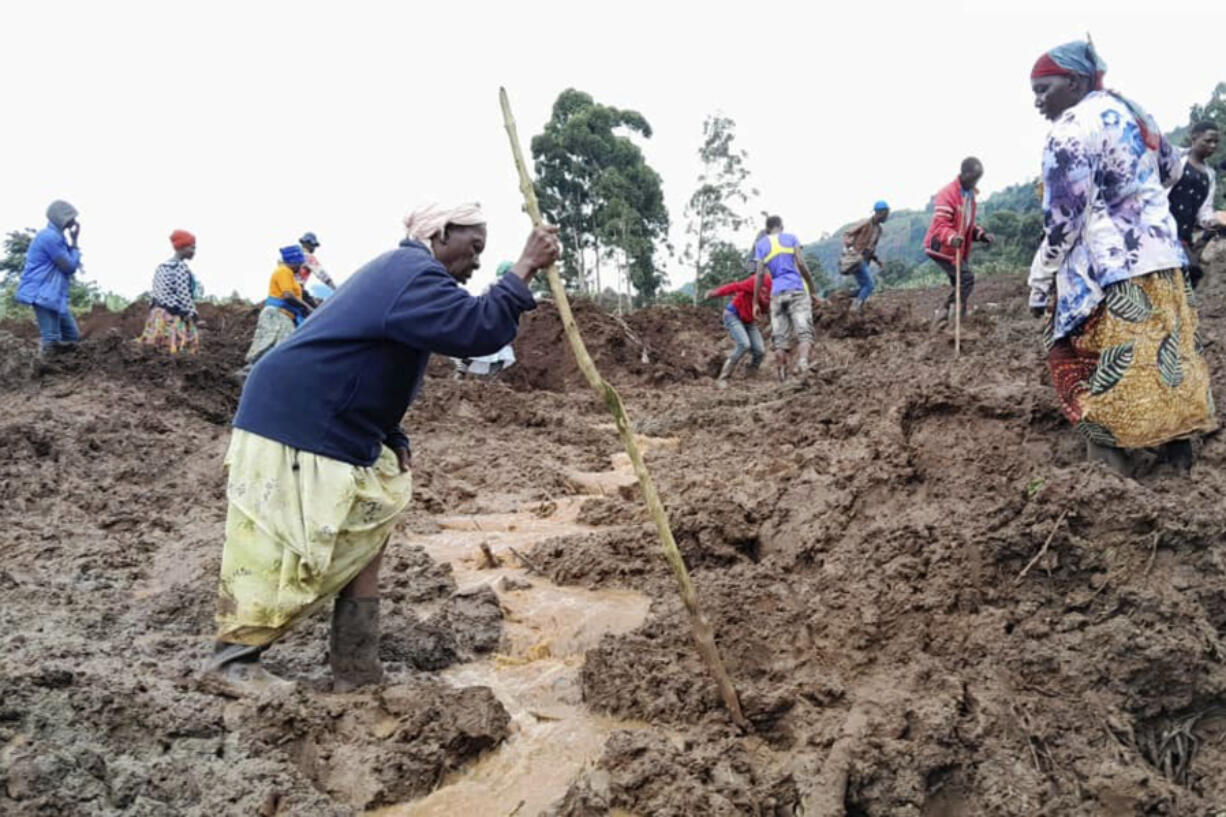 Rescue workers and people search for bodies after landslides following heavy rains buried 40 homes in the mountainous district of Bulambuli, eastern Uganda, Thursday, Nov. 28. 2024.