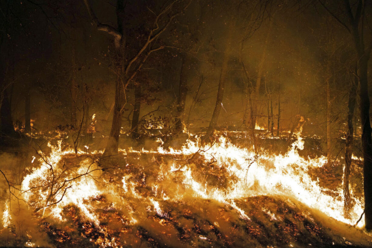 This image provided by New Jersey Department of Environmental Protection shows the wildfire in Jennings Creek, N.J., Saturday, Nov. 9, 2024.