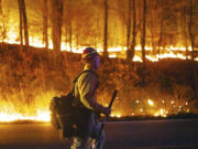 This image provided by New Jersey Department of Environmental Protection shows the wildfire in Jennings Creek, N.J., Saturday, Nov. 9, 2024.