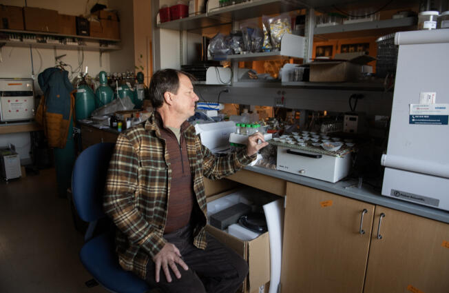 Marc Kramer of Washington State University Vancouver looks over soil samples from around the world in his campus science lab on Monday. The U.S. Forest Service and WSU Vancouver created a partnership to study wood and soil in the lab.