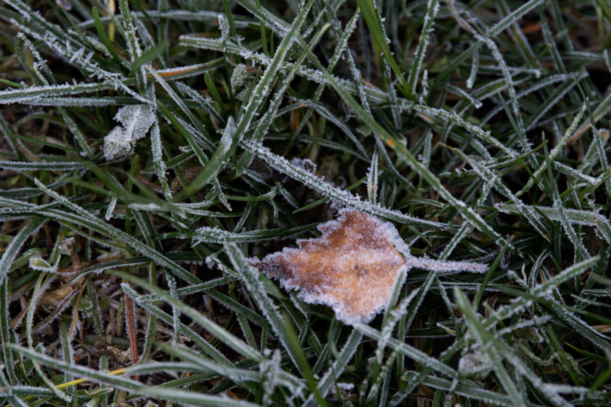 LEADOPTION Chilly conditions on Tuesday morning left southeast Vancouver covered in frost.