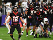 Camas senior Beau Harlan (12) celebrates after a big play Saturday, Dec. 7, 2024, during the Papermakers’ 27-24 loss to Sumner in the 4A State Championship game at Husky Stadium.