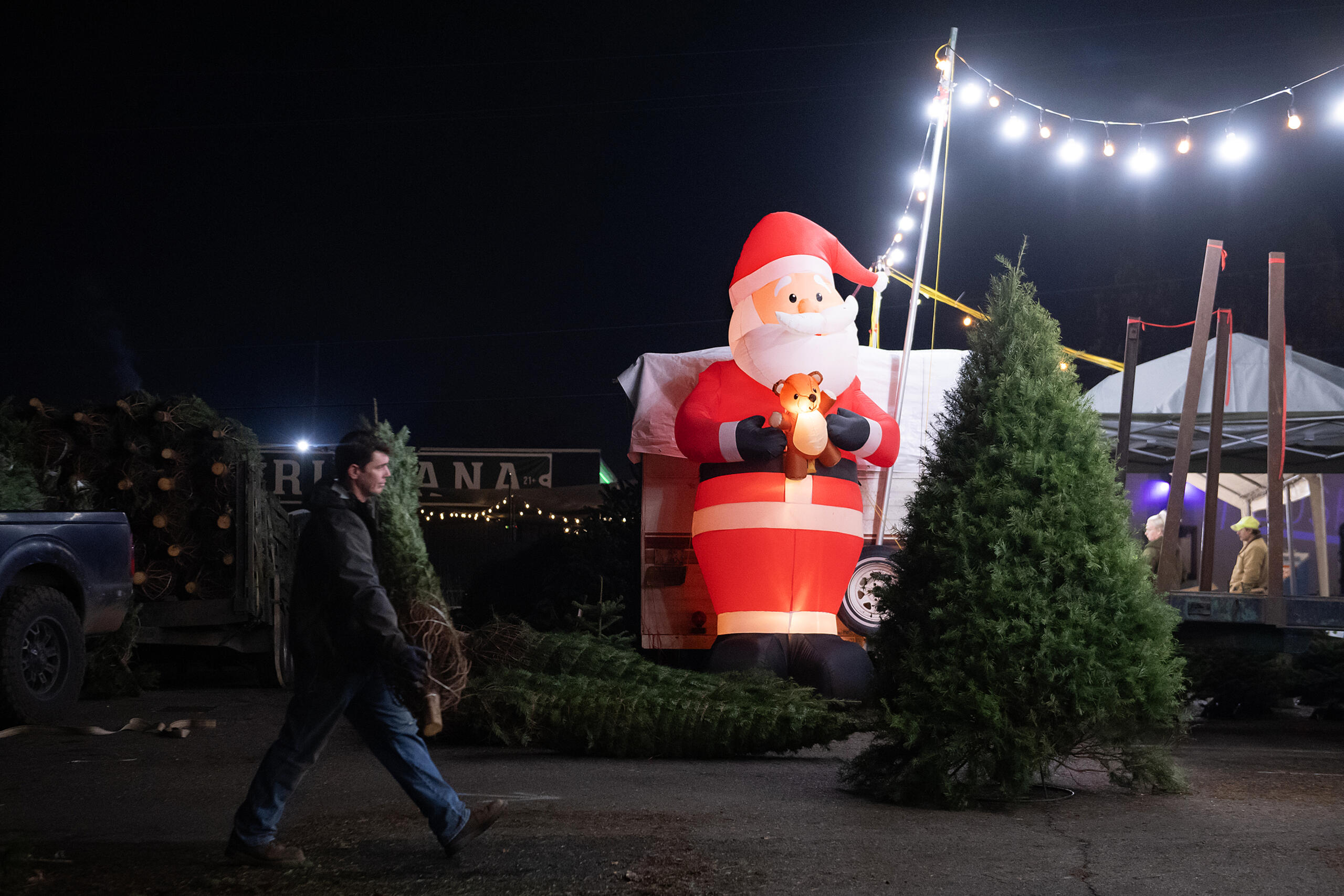 Nathaniel Baker of Bo’s Trees drops off one of 120 fresh Christmas trees under the watchful eye of Santa at the corner of Northeast Highway 99 and Northeast 78th Street on Tuesday night, Dec. 10, 2024. The business, which is located on the northwest corner of the intersection, offers four different types of trees in a variety of sizes. It is open daily from 10 am to 9 pm and closes at 8 pm on Sundays.