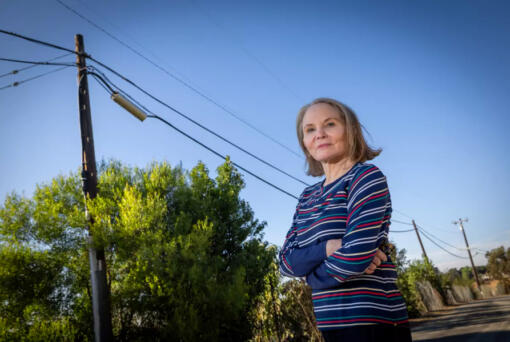 Hacienda Heights resident Diana Arnold, shown near the phone lines at Turnbull Canyon Road and Skyline Drive, has not had landline service for the last six months because of copper wire thieves. (Allen J.