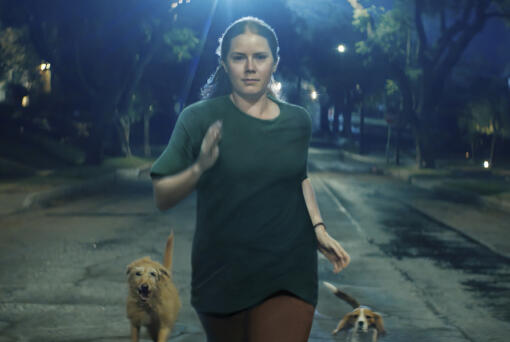 This image released by Searchlight Pictures shows Amy Adams in a scene from &ldquo;Nightbitch.&rdquo; (Searchlight Pictures via AP)